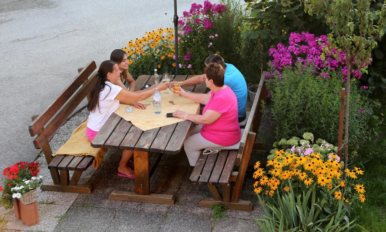 Apartments Haufhof , Haus Im Ennstal Bei Schladming Buitenkant foto