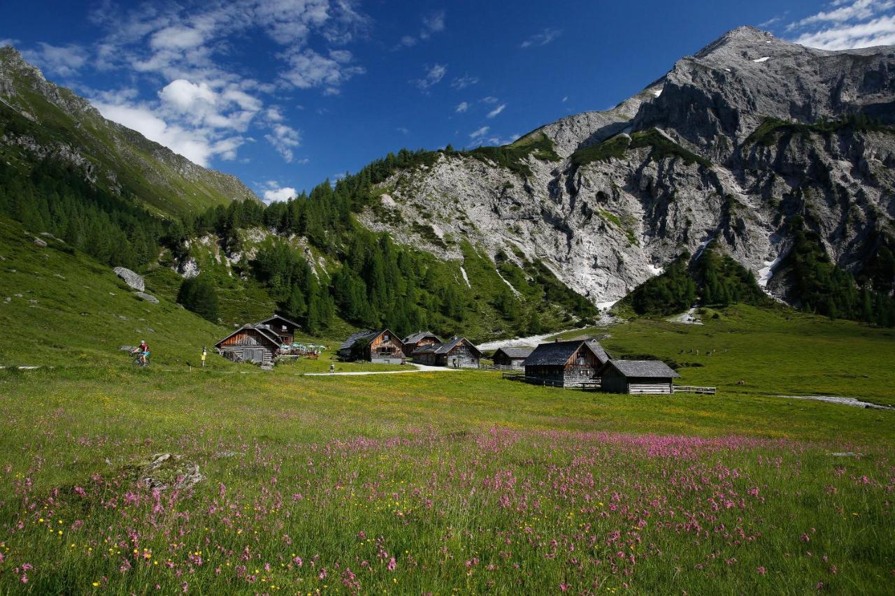 Apartments Haufhof , Haus Im Ennstal Bei Schladming Buitenkant foto