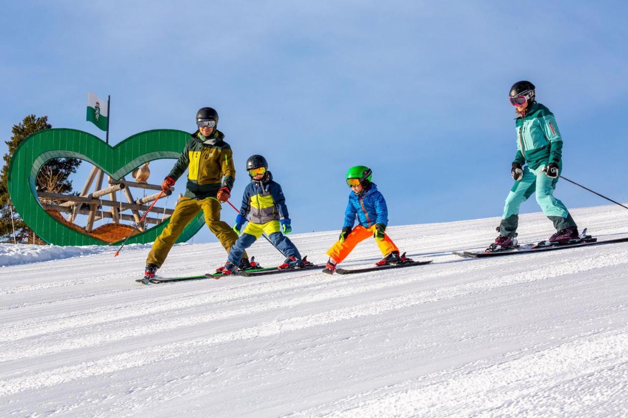 Apartments Haufhof , Haus Im Ennstal Bei Schladming Buitenkant foto